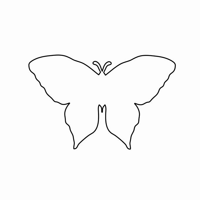 Impara Come Disegnare Una Farfalla Su Un Fiore Tutorial Passo Dopo Passo